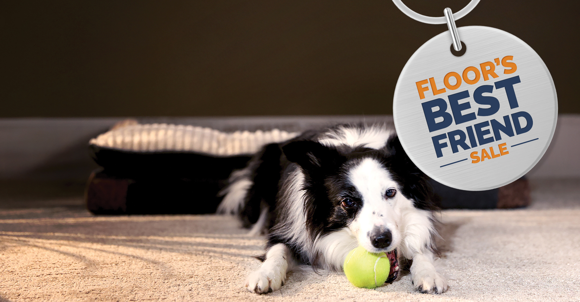 dog playing with a ball on the carpet